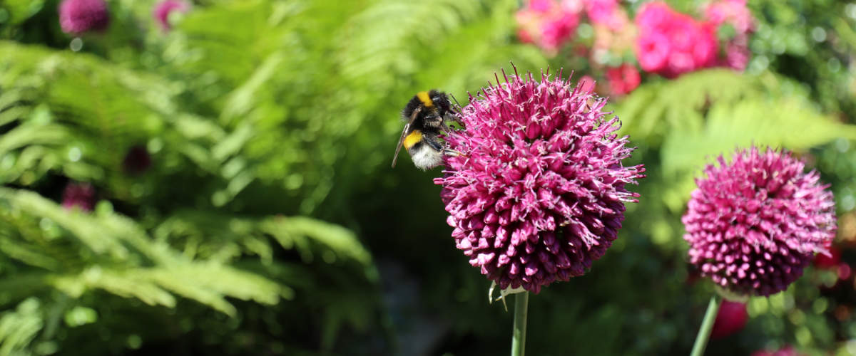 Gartengestaltung